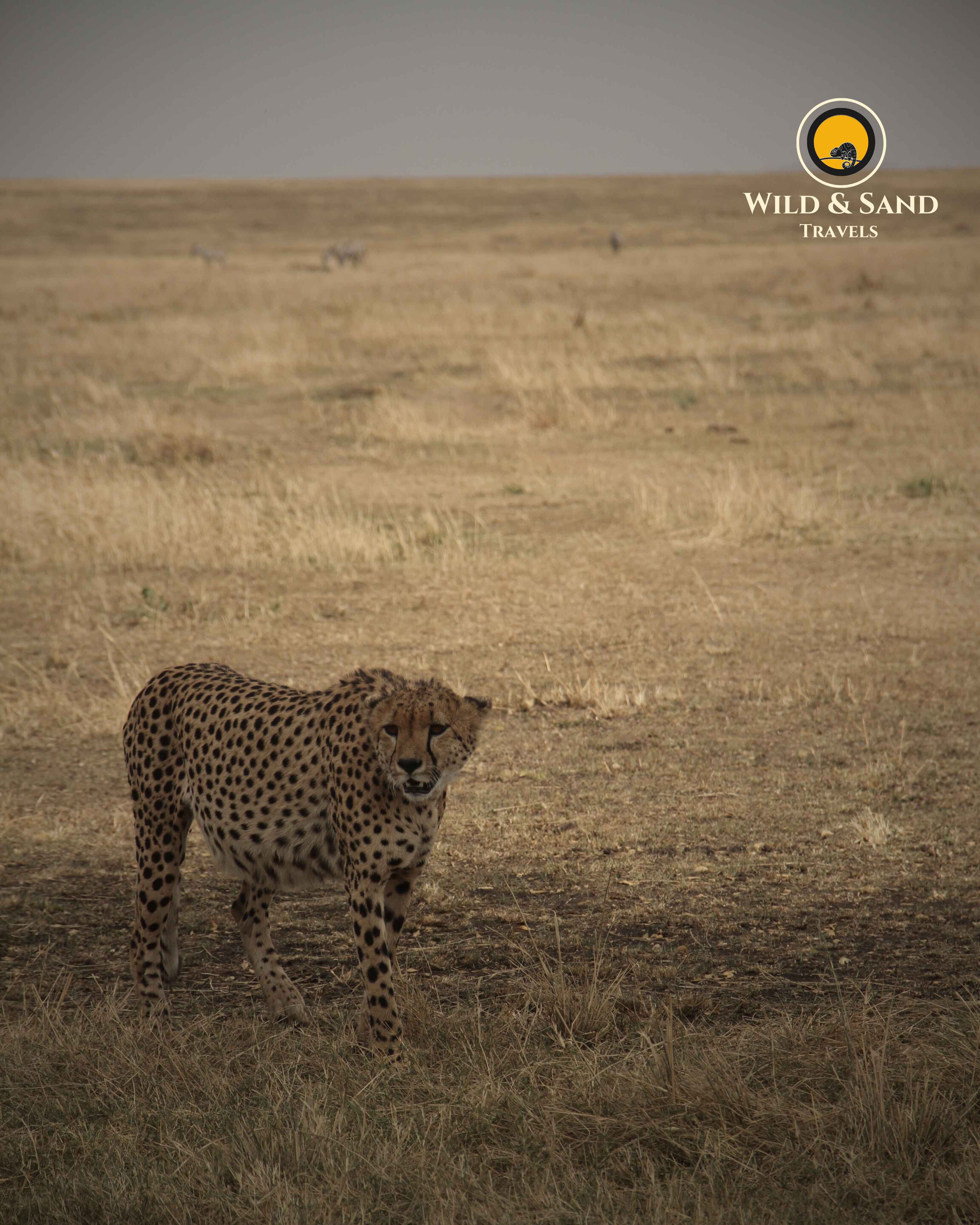 Perfect Northern Safari Experience